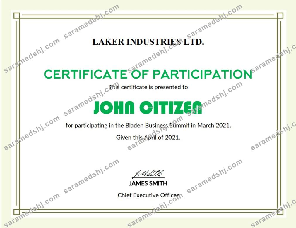 USA Modern Participation cert